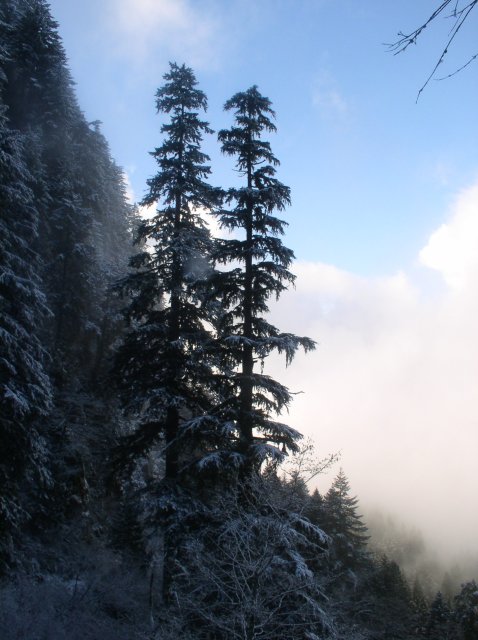 11.27.05 Nesmith Point 058 